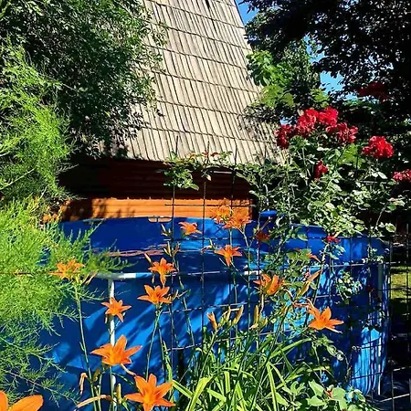 Garden *