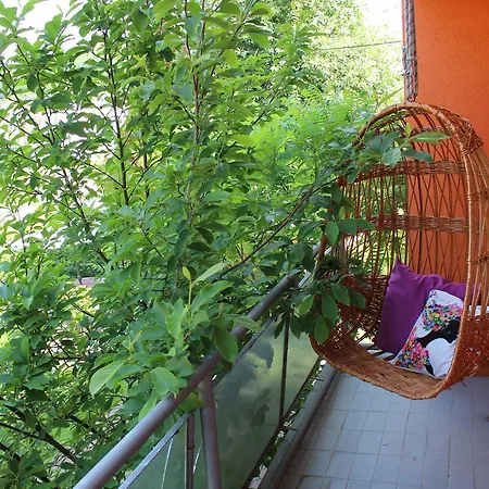 Garden *